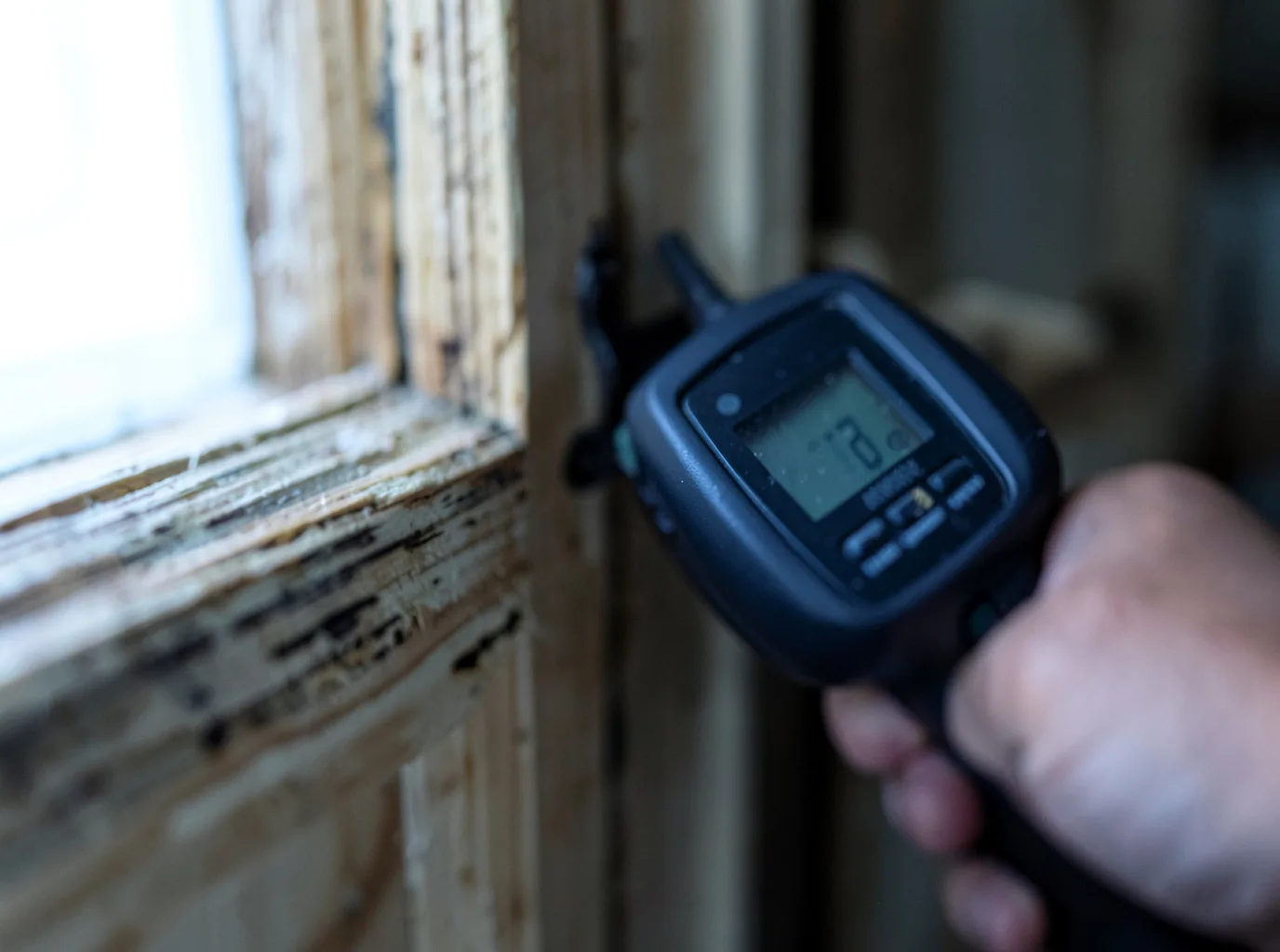 Moisture Inspection And Documentation in Kilgore, TX